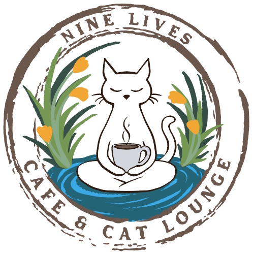 リスティング用に提出されたNine Lives Cafe & Cat Lounge猫カフェの写真