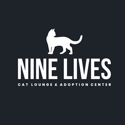 Photo of a cat cafe called Nine Lives Cat Lounge & Adoption Center submitted for their listing