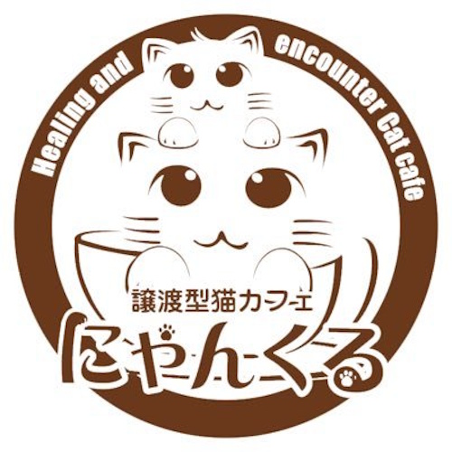 リスティング用に提出されたNyankuru Sakuragicho猫カフェの写真
