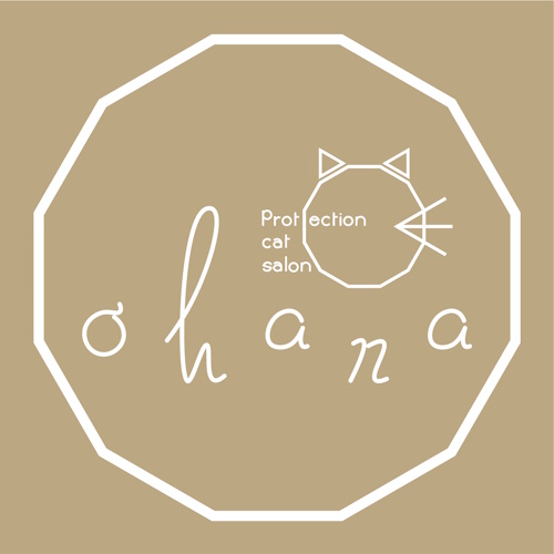 リスティング用に提出されたOhana Protection Cat Salon猫カフェの写真