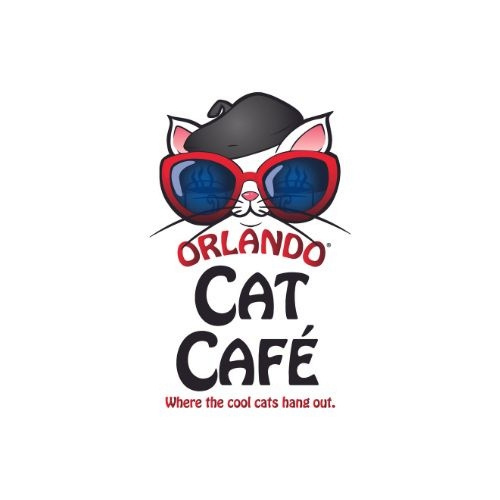 リスティング用に提出されたOrlando Cat Café猫カフェの写真