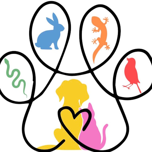 リスティング用に提出されたPaw-Rump Cat Cafe猫カフェの写真