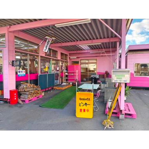 リスティング用に提出されたPinky Cat House猫カフェの写真