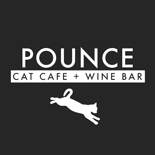 Photo of a cat cafe called Pounce Cat Cafe + Wine Bar submitted for their listing
