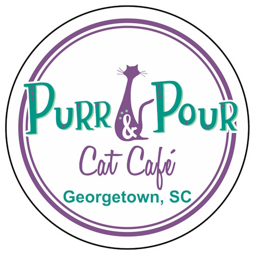 リスティング用に提出されたPurr & Pour Cat Cafe猫カフェの写真