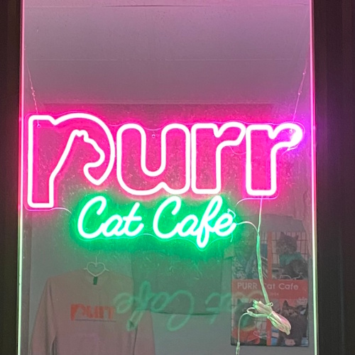 Photo of a cat cafe called PURR Cat Cafe submitted for their listing