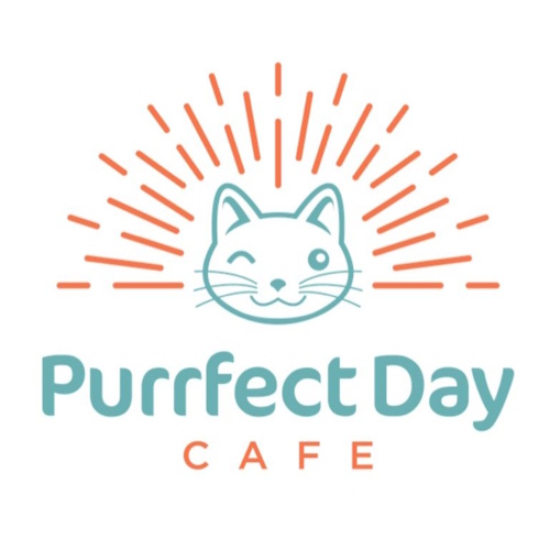 リスティング用に提出されたPurrfect Day Cat Cafe猫カフェの写真