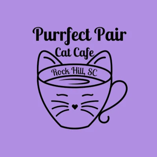リスティング用に提出されたPurrfect Pair Cat Cafe猫カフェの写真