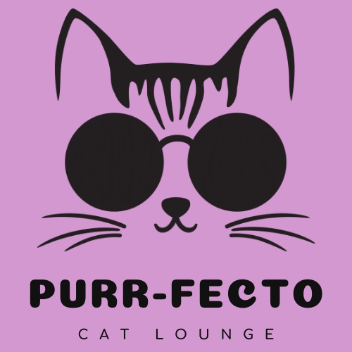Photo of a cat cafe called Purrfecto Cat Lounge submitted for their listing