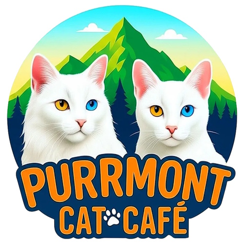 Photo of a cat cafe called Purrmont Cat Cafe submitted for their listing