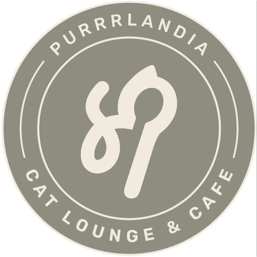 リスティング用に提出されたPurrrlandia Cat Lounge & Cafe猫カフェの写真