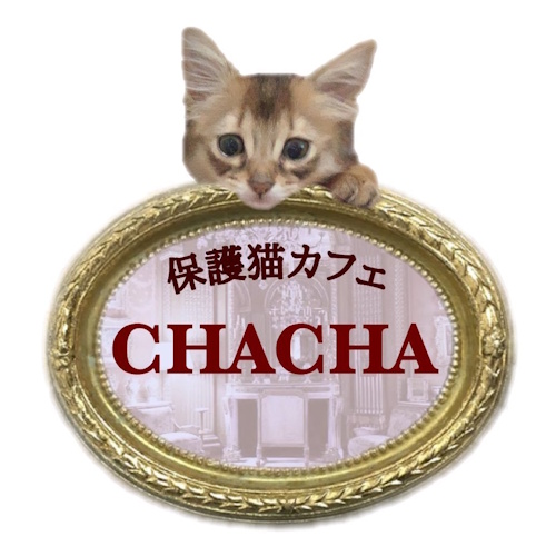 Photo of a cat cafe called Rescue Cafe CHA CHA submitted for their listing