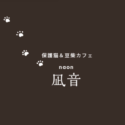リスティング用に提出されたRescue Cat and Toy Shiba Cafe Naon猫カフェの写真