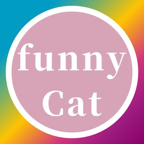 Photo of a cat cafe called Rescue Cat Cafe Funny Cat submitted for their listing