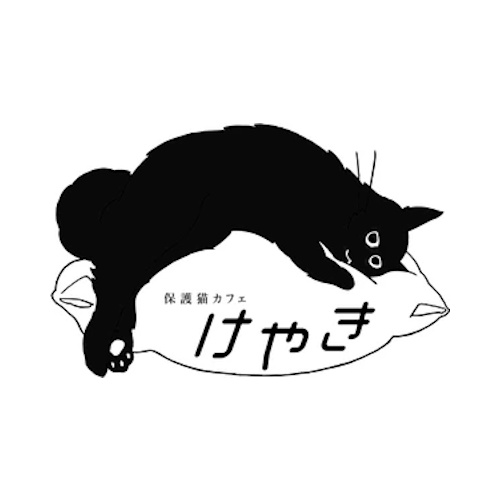リスティング用に提出されたRescue Cat Cafe Keyaki猫カフェの写真