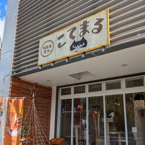 リスティング用に提出されたRescue Cat Cafe Kotemaru猫カフェの写真