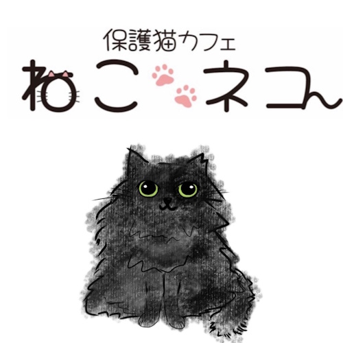 リスティング用に提出されたRescue Cat Cafe Neko Neko猫カフェの写真
