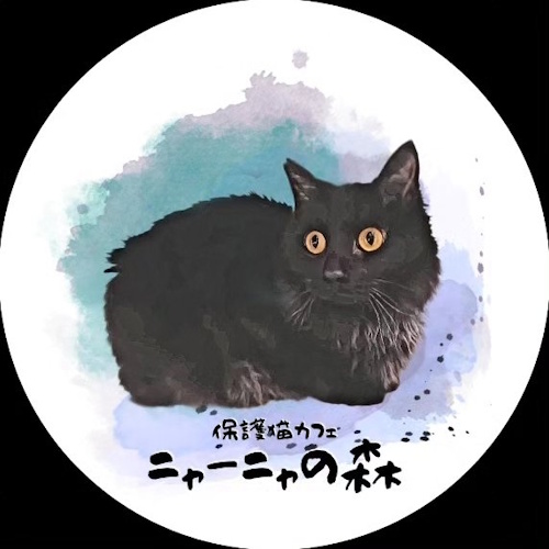 Photo of a cat cafe called Rescue Cat Cafe Nya-nya no Mori submitted for their listing