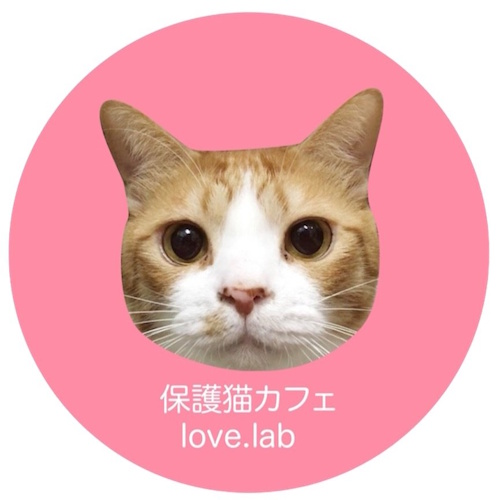 リスティング用に提出されたRescue Cats Cafe - love.lab猫カフェの写真