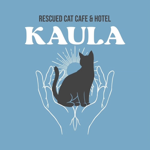 リスティング用に提出されたRescued Cat Cafe & Hotel Kaula猫カフェの写真