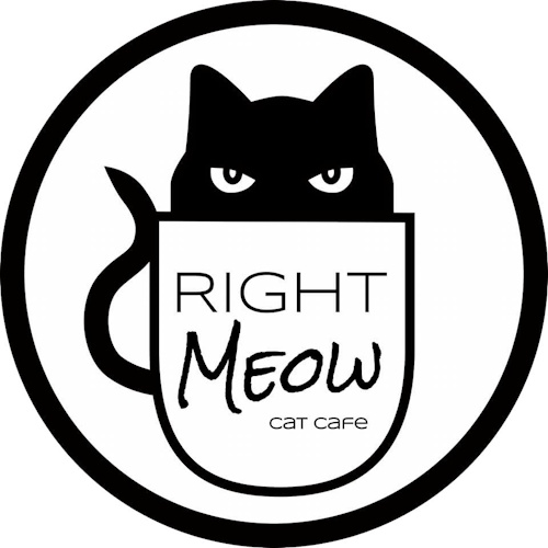 リスティング用に提出されたRight Meow Cat Cafe猫カフェの写真
