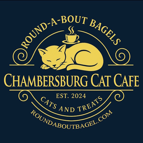リスティング用に提出されたRound-A-Bout Bagels Cat Cafe猫カフェの写真