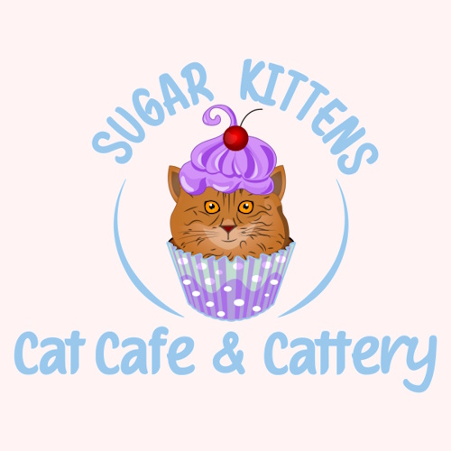 Photo of a cat cafe called Sugar Kittens Cat Cafe submitted for their listing