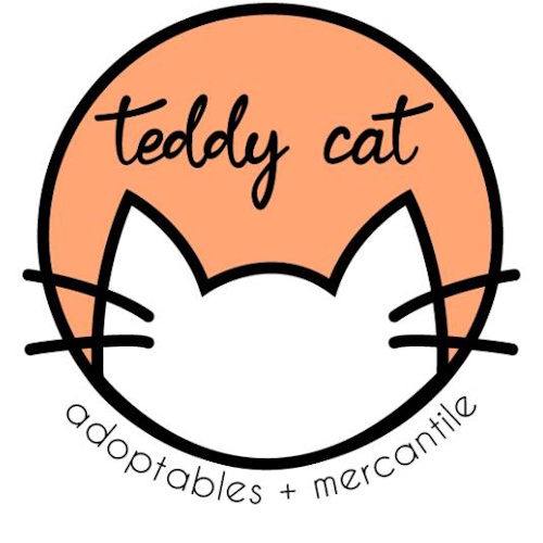 Photo of a cat cafe called Teddy Cat Cafe submitted for their listing