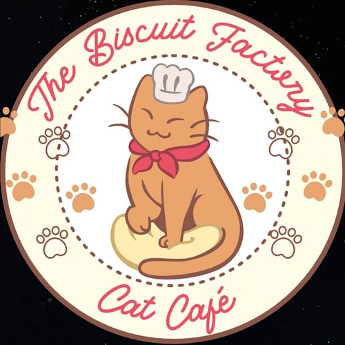 リスティング用に提出されたThe Biscuit Factory Cat Lounge猫カフェの写真