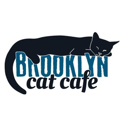 Photo of a cat cafe called The Brooklyn Cat Cafe submitted for their listing
