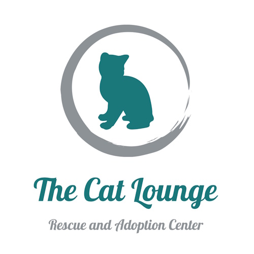 リスティング用に提出されたThe Cat Lounge Rescue and Adoption Center猫カフェの写真