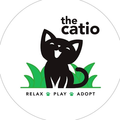 Photo of a cat cafe called The Catio Cat Lounge submitted for their listing