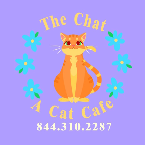 リスティング用に提出されたThe Chat - A Cat Cafe猫カフェの写真