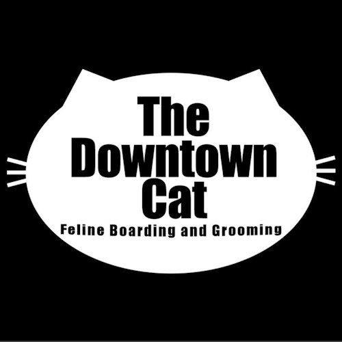 Photo of a cat cafe called The Downtown Cat submitted for their listing