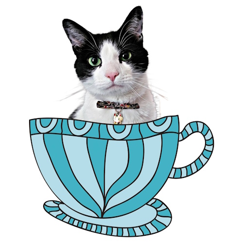 リスティング用に提出されたThe Farmer's Cat Cafe猫カフェの写真