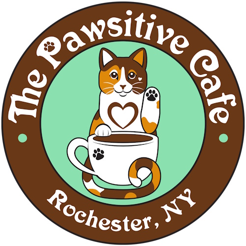Photo of a cat cafe called The Pawsitive Cat Cafe submitted for their listing