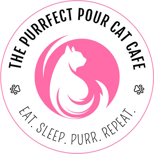 リスティング用に提出されたThe Purrfect Pour Cat Cafe猫カフェの写真