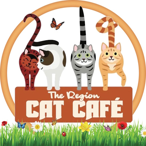 リスティング用に提出されたThe Region Cat Cafe猫カフェの写真