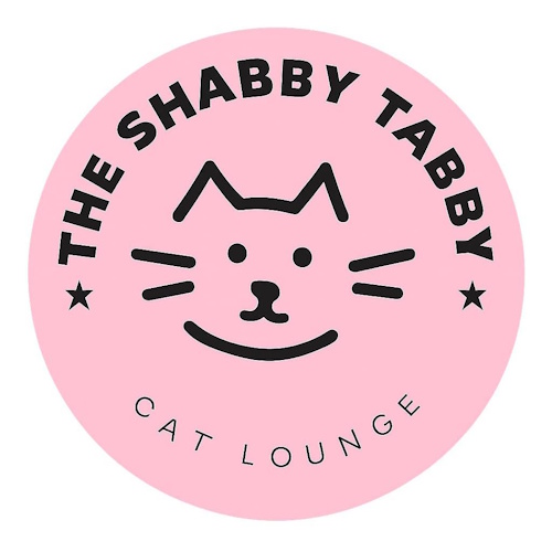 リスティング用に提出されたThe Shabby Tabby Cat Lounge猫カフェの写真
