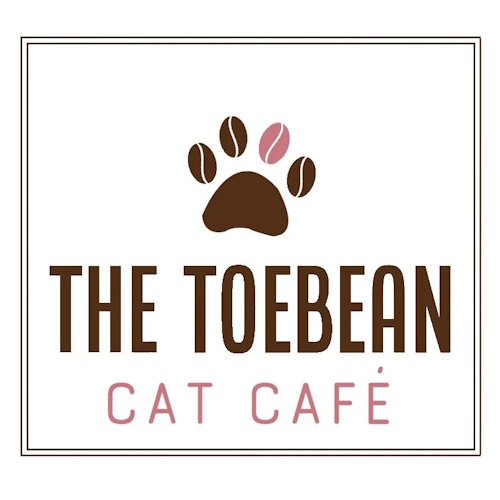 Photo of a cat cafe called The Toebean Cat Cafe submitted for their listing