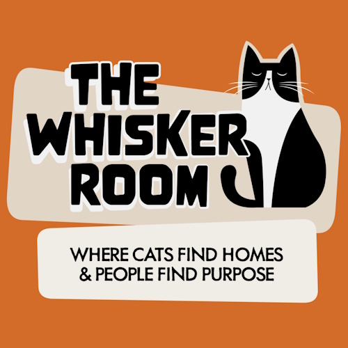 リスティング用に提出されたThe Whisker Room猫カフェの写真