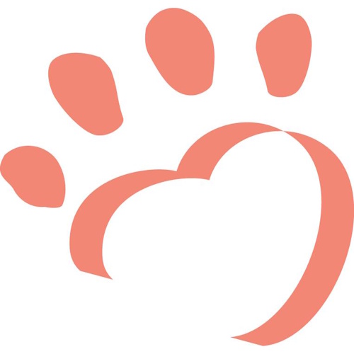 Photo of a cat cafe called Tiny Lions Lounge & Adoption Center submitted for their listing