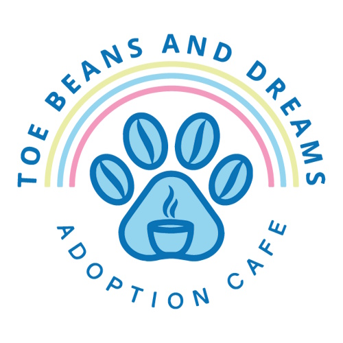 Photo of a cat cafe called Toe Beans & Dreams Adoption Cafe submitted for their listing