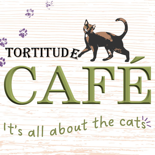 Photo of a cat cafe called Tortitude Cat Cafe submitted for their listing