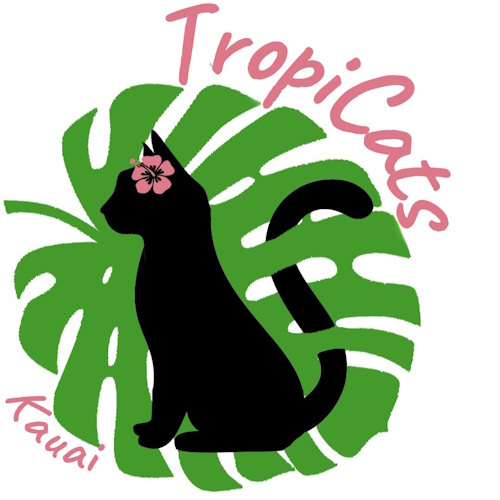 Photo of a cat cafe called TropiCats submitted for their listing
