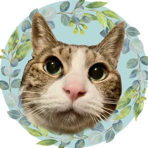 Photo of a cat cafe called Waneko Cafe submitted for their listing