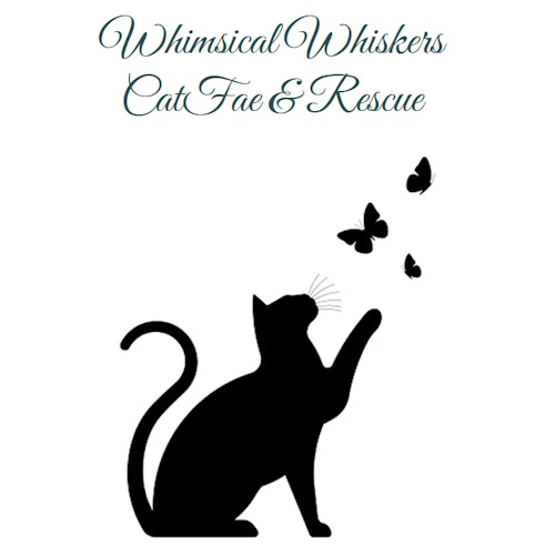 リスティング用に提出されたWhimsical Whiskers CatFae & Rescue猫カフェの写真