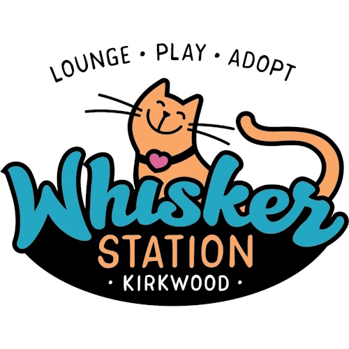 Photo of a cat cafe called Whisker Station Cat Cafe and Lounge submitted for their listing