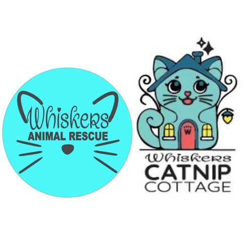 リスティング用に提出されたWhiskers Catnip Cottage猫カフェの写真