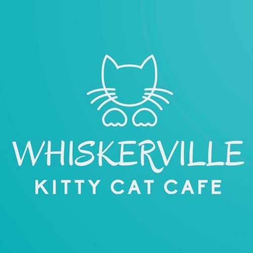 リスティング用に提出されたWhiskerville Kitty Cat Cafe猫カフェの写真
